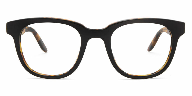 Black Amber Tortoise