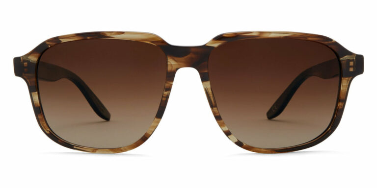 Sulcata Tortoise / Old English Polarized AR / Old English Polarized AR